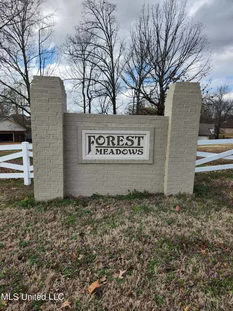 View/Area - 1750 Ready Dr, Hernando, MS 38632 photo 2 of 6