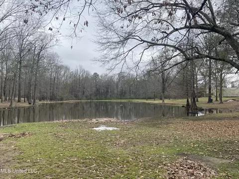 735 Highway 468, Brandon, MS 39042 photo 15