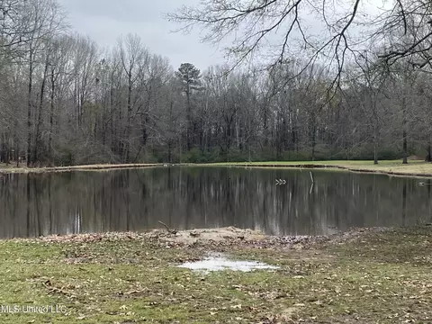 735 Highway 468, Brandon, MS 39042 photo 14