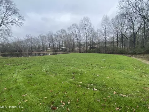 735 Highway 468, Brandon, MS 39042 photo 5