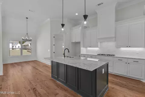 Other - 807 Trawler Cir, Brandon, MS 39047 photo 3 of 12