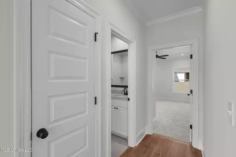 Entry Way - 807 Trawler Cir, Brandon, MS 39047 photo 9 of 9