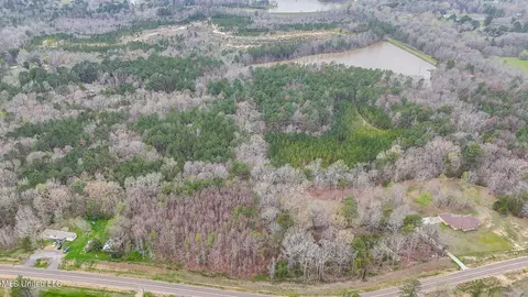 Andrew Chapel Road, Brandon, MS 39047 photo 5