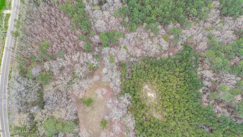 Andrew Chapel Road, Brandon, MS 39047 photo 3