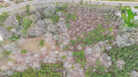 Andrew Chapel Road, Brandon, MS 39047 photo 9