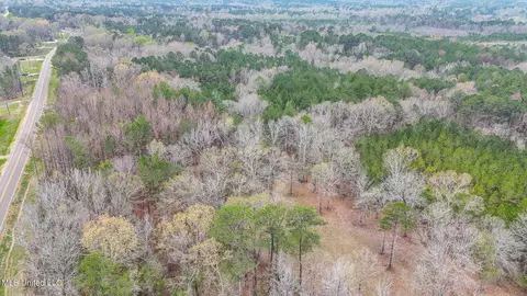 Andrew Chapel Road, Brandon, MS 39047 photo 11