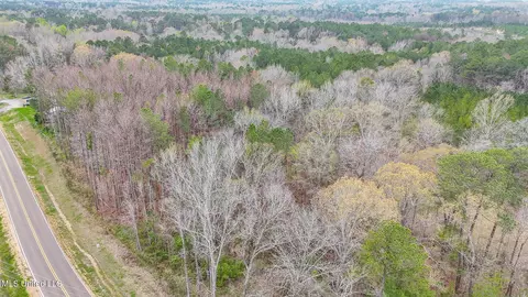 Andrew Chapel Road, Brandon, MS 39047 photo 12