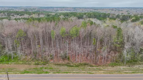 Andrew Chapel Road, Brandon, MS 39047 photo 13
