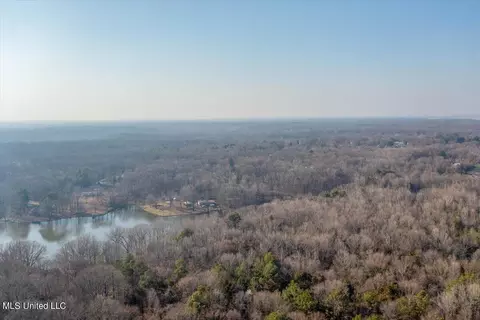 Longview Drive, Coldwater, MS 38618 photo 5