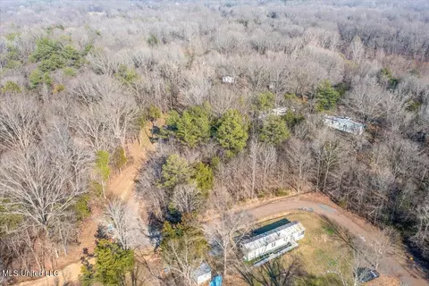 Longview Drive, Coldwater, MS 38618 photo 3