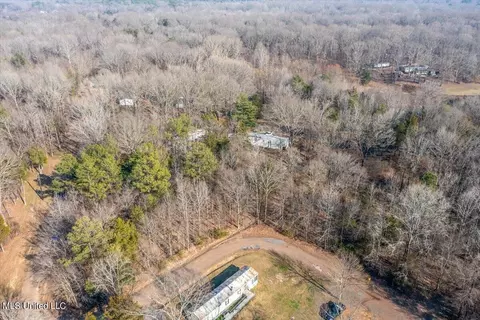 Longview Drive, Coldwater, MS 38618 photo 2