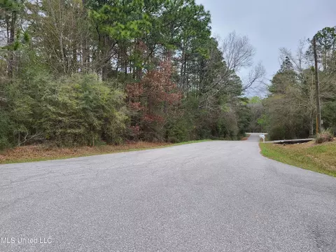 0 Pinecrest Dr, Carriere, MS 39426 photo 3