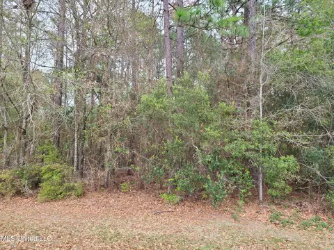 0 Pinecrest Dr, Carriere, MS 39426 photo 5