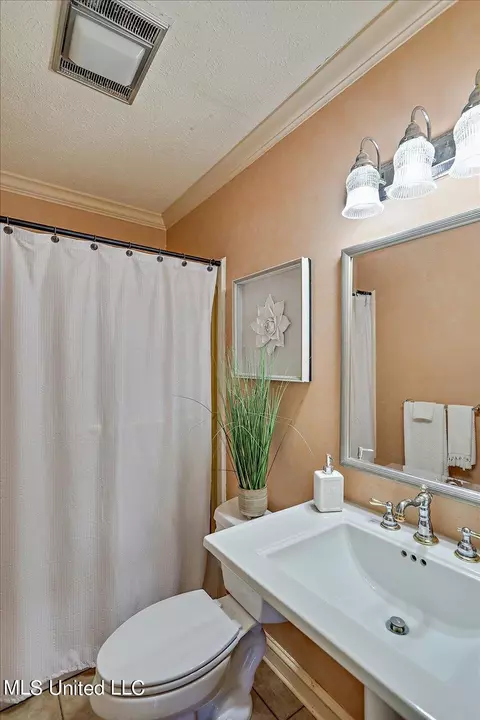 Bath - 1480 Pinehaven Dr, Clinton, MS 39056 photo 8 of 8