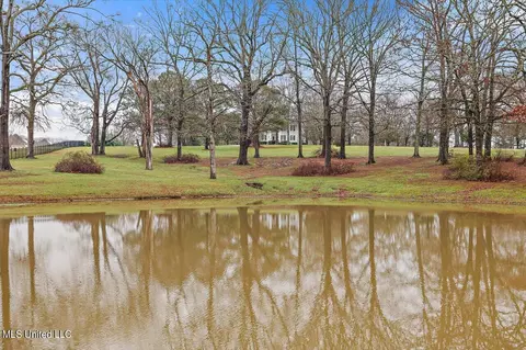 View/Area - 1480 Pinehaven Dr, Clinton, MS 39056 photo 4 of 19