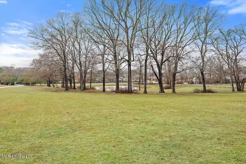View/Area - 1480 Pinehaven Dr, Clinton, MS 39056 photo 1 of 19