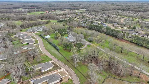 View/Area - 1480 Pinehaven Dr, Clinton, MS 39056 photo 9 of 19