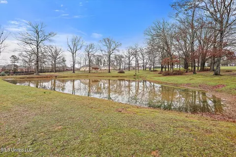 View/Area - 1480 Pinehaven Dr, Clinton, MS 39056 photo 3 of 19