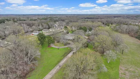 View/Area - 1480 Pinehaven Dr, Clinton, MS 39056 photo 7 of 19