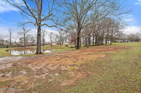 View/Area - 1480 Pinehaven Dr, Clinton, MS 39056 photo 2 of 19