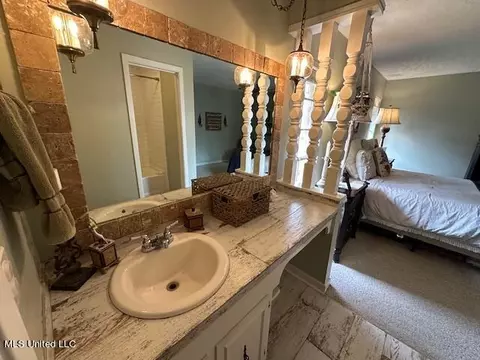 Bath - 103 Firecrest Dr, Brandon, MS 39042 photo 3 of 4