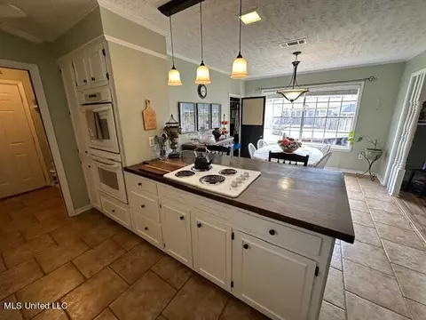Kitchen - 103 Firecrest Dr, Brandon, MS 39042 photo 1 of 4