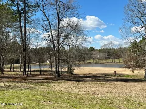 View/Area - 111 Oak View Dr, Terry, MS 39170 photo 1 of 4