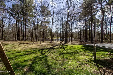 View/Area - 111 Oak View Dr, Terry, MS 39170 photo 4 of 4