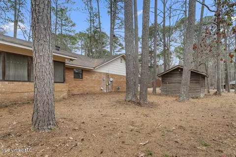 Exterior - 124 Redbud Trl, Brandon, MS 39047 photo 4 of 4
