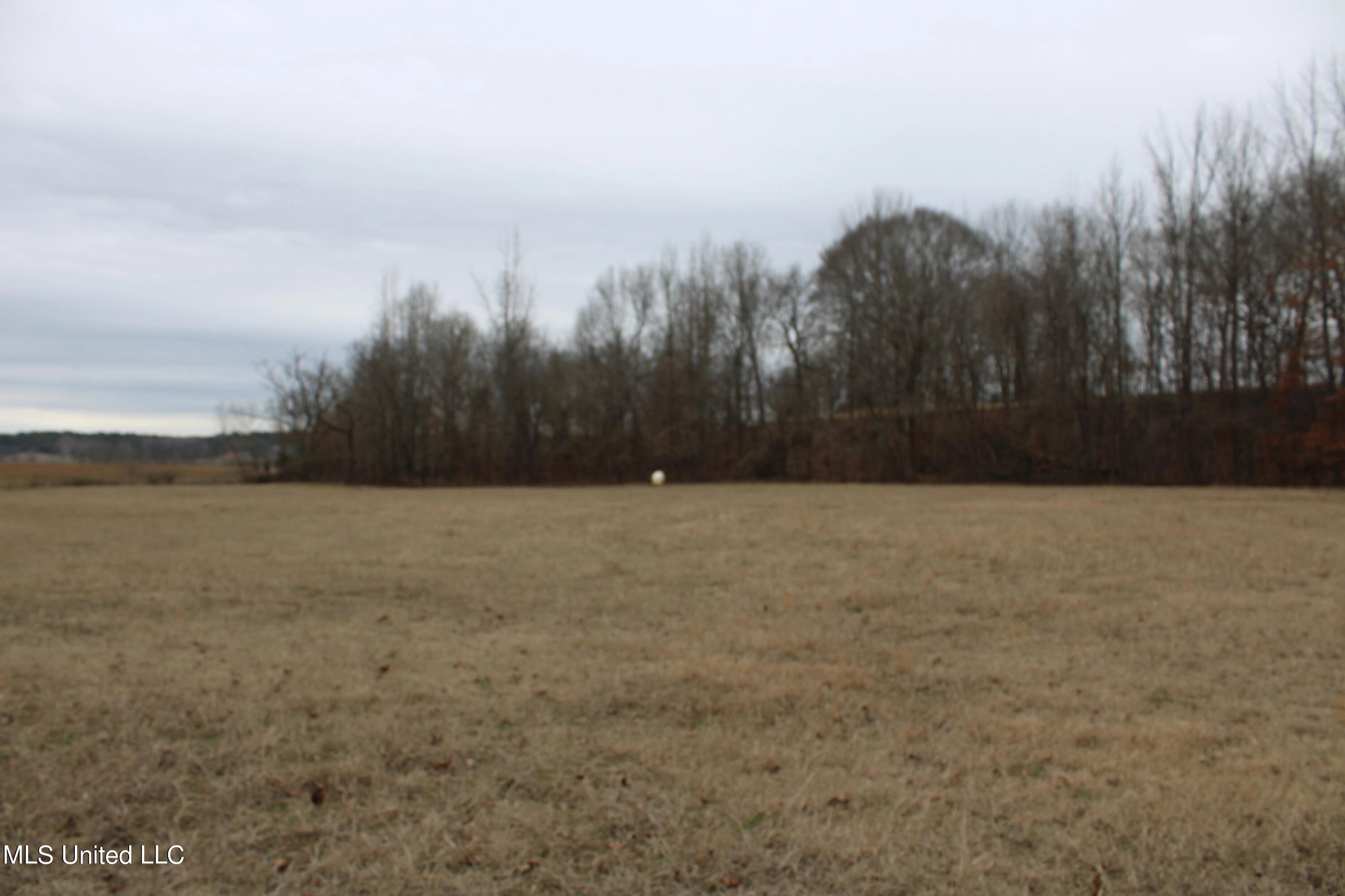 1 W Byhalia Farms Rd  