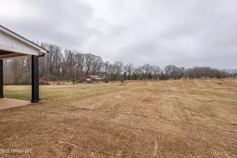 View/Area - 1453 Ashtons Ln, Hernando, MS 38632 photo 1 of 1
