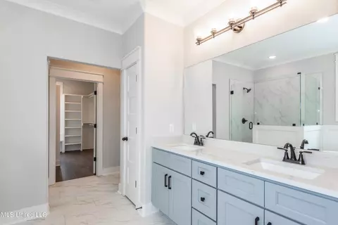 Bath - 1453 Ashtons Ln, Hernando, MS 38632 photo 3 of 4