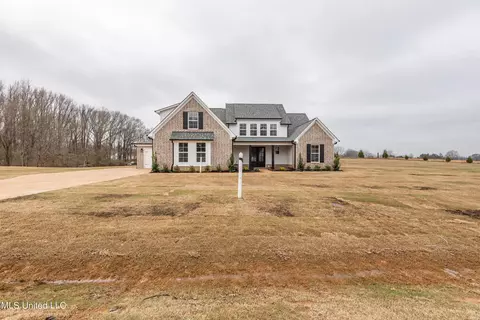 Exterior - 1453 Ashtons Ln, Hernando, MS 38632 photo 10 of 11