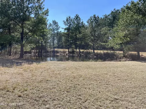 57 Vestry Rd, Perkinston, MS 39573 photo 21