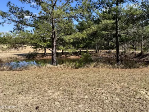 57 Vestry Rd, Perkinston, MS 39573 photo 23
