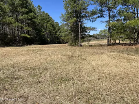 57 Vestry Rd, Perkinston, MS 39573 photo 27