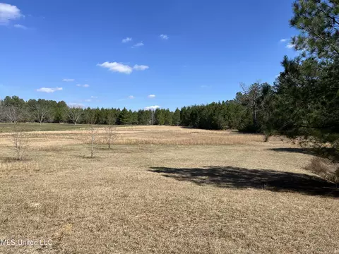57 Vestry Rd, Perkinston, MS 39573 photo 22
