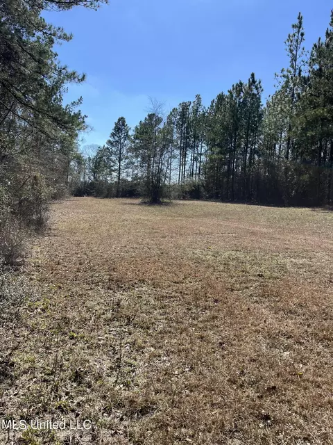 57 Vestry Rd, Perkinston, MS 39573 photo 28
