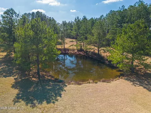 57 Vestry Rd, Perkinston, MS 39573 photo 7