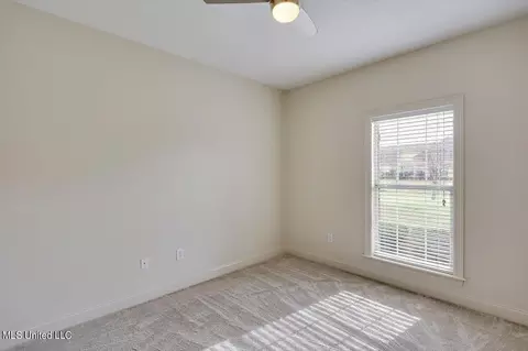 Other - 266 Lighthouse Ln, Brandon, MS 39047 photo 10 of 12