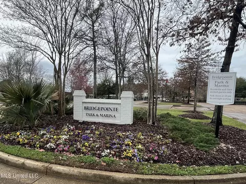 View/Area - 266 Lighthouse Ln, Brandon, MS 39047 photo 1 of 1