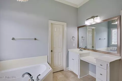 Bath - 266 Lighthouse Ln, Brandon, MS 39047 photo 3 of 6