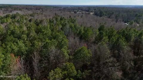 Stratton Rd Road, Union, MS 39365 photo 6