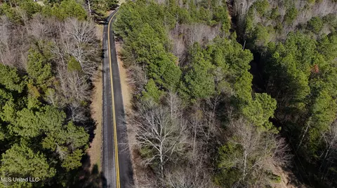 Stratton Rd Road, Union, MS 39365 photo 18