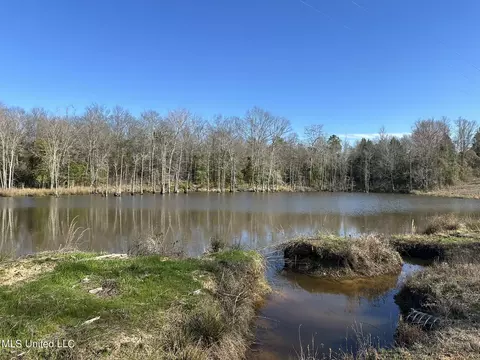 Stratton Rd Road, Union, MS 39365 photo 3