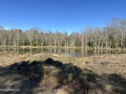Stratton Rd Road, Union, MS 39365 photo 2