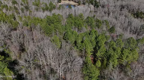Stratton Rd Road, Union, MS 39365 photo 13
