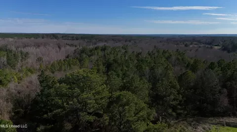 Stratton Rd Road, Union, MS 39365 photo 5