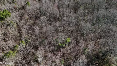 Stratton Rd Road, Union, MS 39365 photo 10