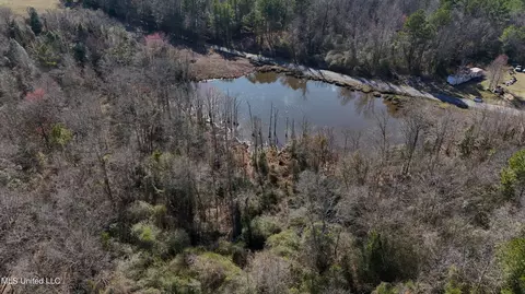 Stratton Rd Road, Union, MS 39365 photo 11